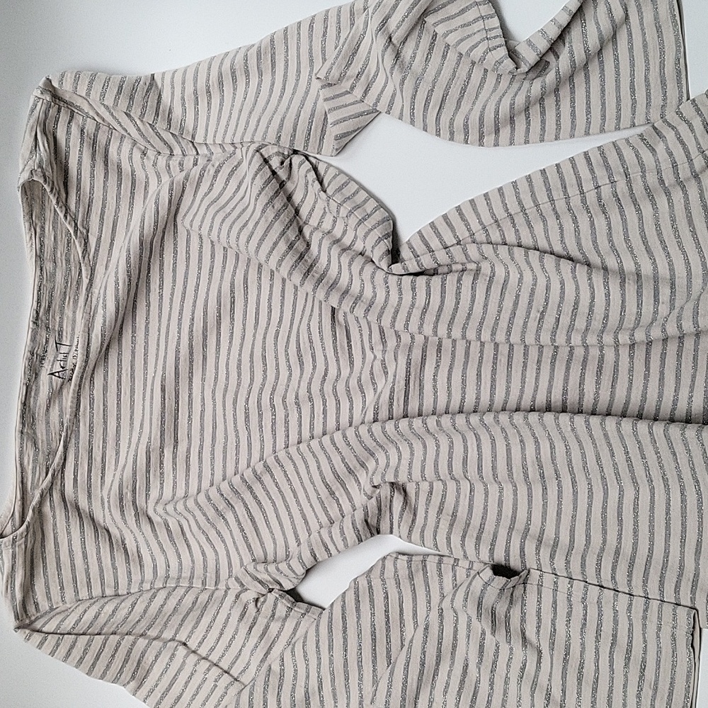 J Crew Metallic Artist T.